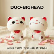 DUO-BIGHEAD solar lucky cat bundle - image 1 - LIEE FLAT CAT
