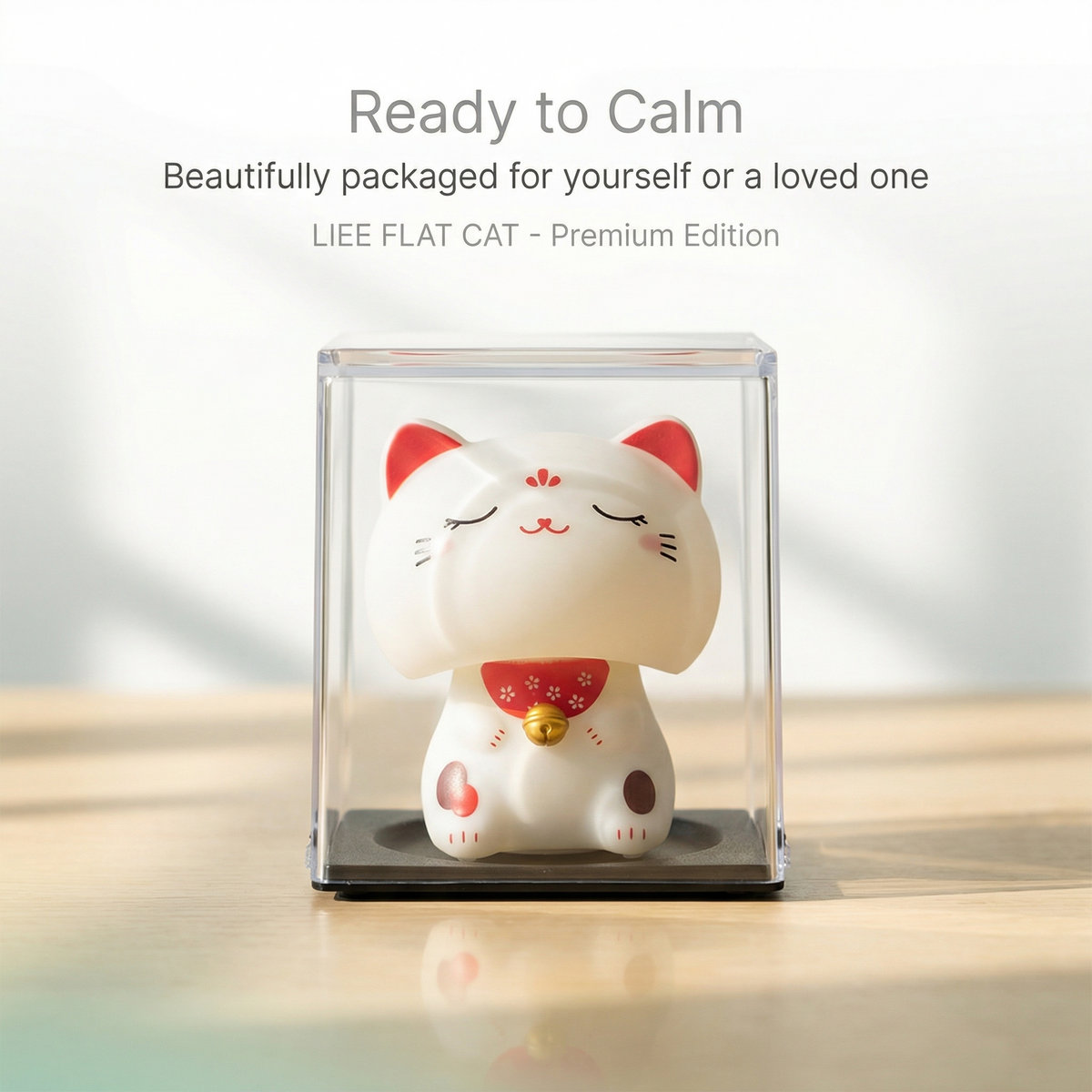 Big Head Solar Lucky Cat in clear acrylic display box - gift-ready premium packaging by LIEE FLAT CAT