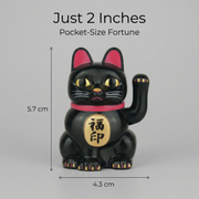 Solar Lucky Cat 2-Inch — Fu Blessing Edition - image 3 - LIEE FLAT CAT