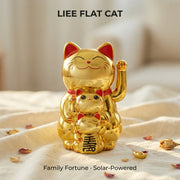 Solar Smiley Cat 4.5-Inch Large Edition front view - LIEE FLAT CAT